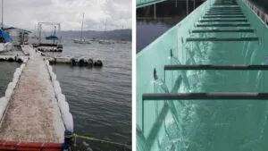 Cutzamala llega a 72% de su capacidad, 29% más que en 2024