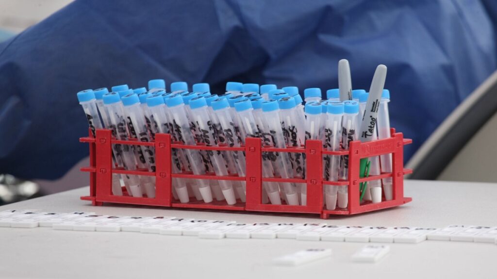 alerta-en-matamoros-por-gripe-aviar-detectada-en-playa-bagdad