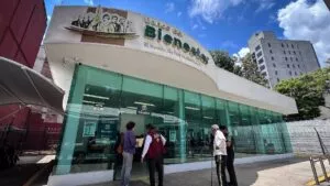 ¿Murió un beneficiario? Así puedes cobrar el pago de marcha del Bienestar