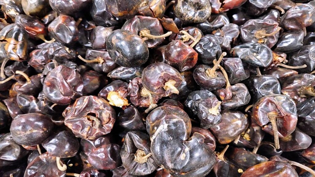 Chile chilhuacle, de mil pesos el kilo: origen, características y variedades
