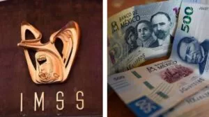 Corte ordena aplicar 90% de pensión a padres bajo Ley 73