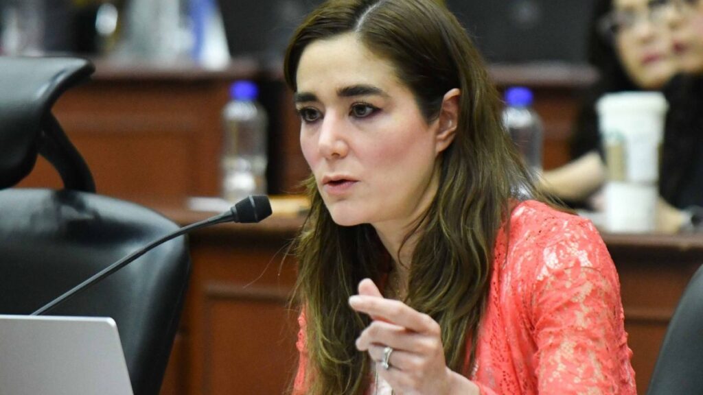 La consejera Dania Ravel enfrenta un procedimiento del INE