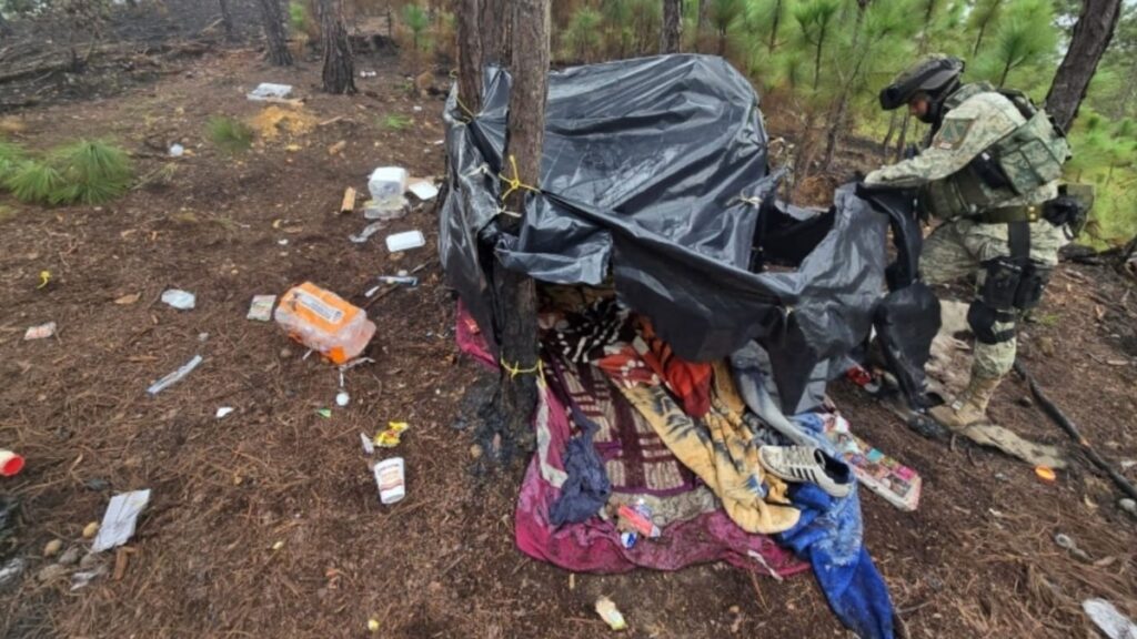 Desmantelan narcocampamento y destruyen 8 centros de químicos en Sinaloa