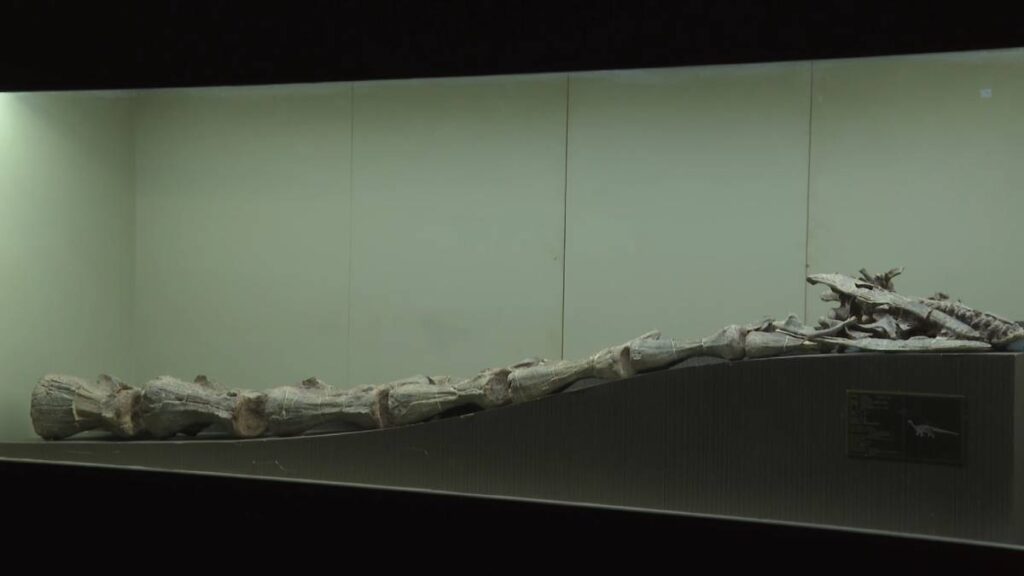 hallan cocodrilo que convivió con dinosaurios