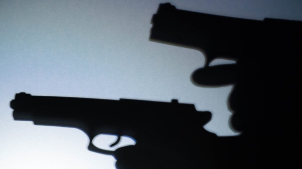 Hijo De Alcalde De Miahuatlan Y Su Novia Disparan Arma En El Grito