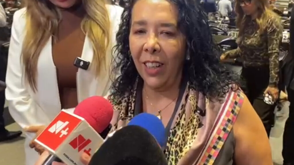 Hilda Araceli Brown nexos La Mayiza