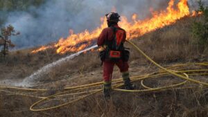 Nuevos incendios forestales en España: bomberos combaten fuego en Galicia
