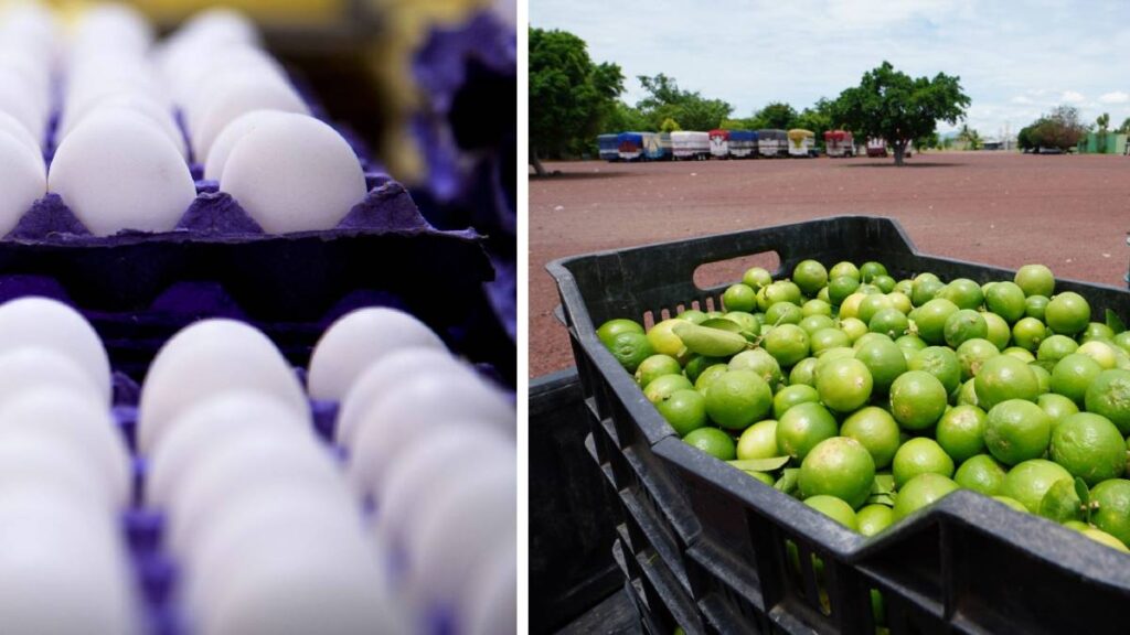 INPP precios productor Inegi