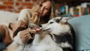 ¿Por qué hablamos con nuestras mascotas como si fueran personas?