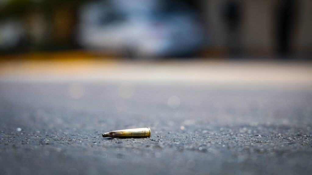 Plataforma Narcopolíticos anuncia adición de 4 perfiles, los anunciará este martes