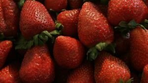 Gastronomía, cultura y conciertos: así será el Festival de la Fresa 2025 en Irapuato