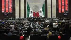 ¿Cárcel por un meme?, “Burrada legislativa”: Pamela Cerdeira