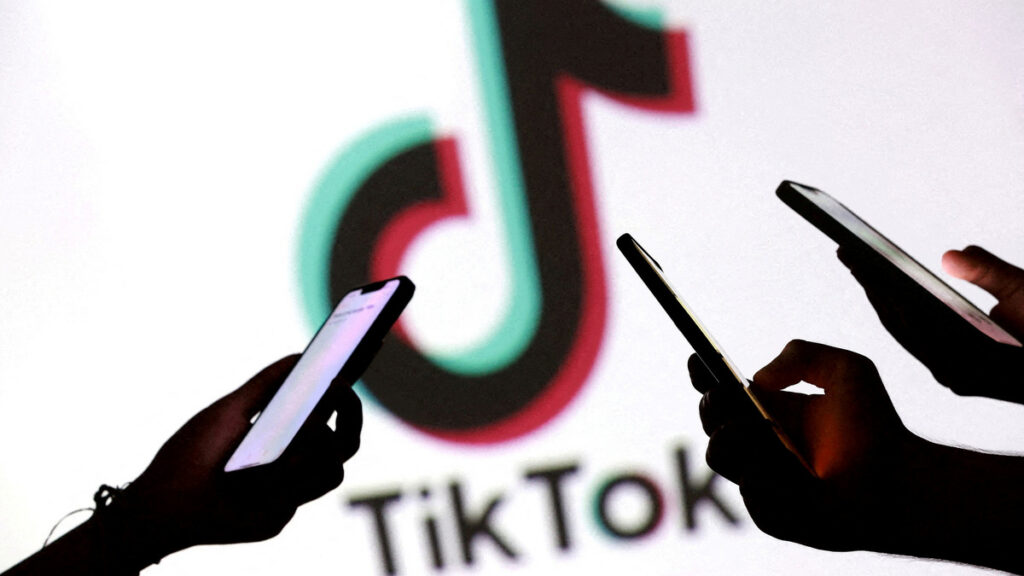 ¿Cómo impacta el cibercrimen a TikTok?