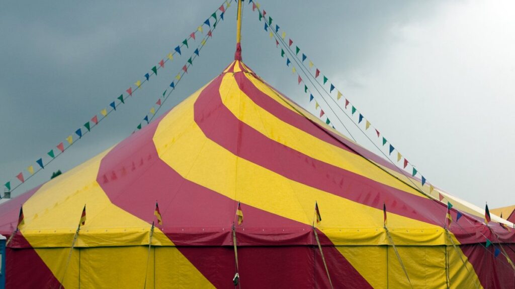 Circo clausurado en Tijuana