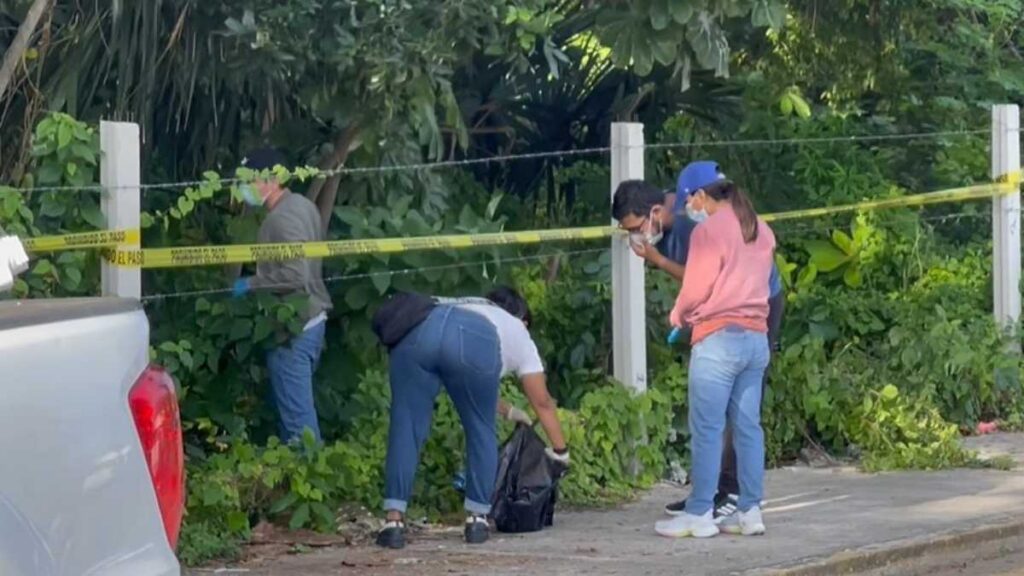 Denuncian por fraude a crematorio de mascotas