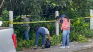 Denuncian fraude en crematorio de mascotas: entregaban tierra en lugar de cenizas