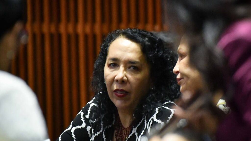 Diputada Araceli Brown