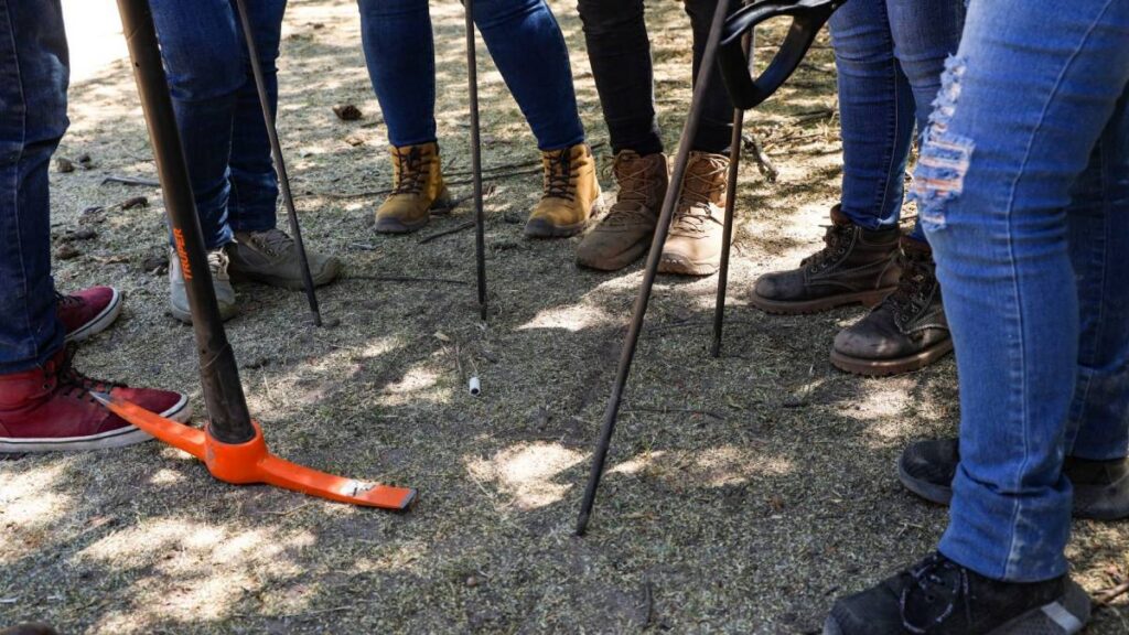 Grupo de buscadoras.