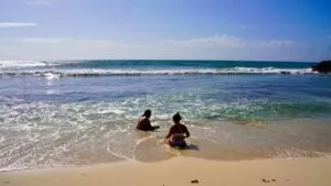 Habilitan acceso gratuito a las playas del Parque del Jaguar en Tulum