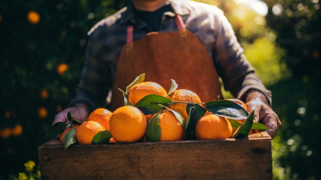 Ejecutan a Javier Vargas, productor de naranja, ahora en Veracruz
