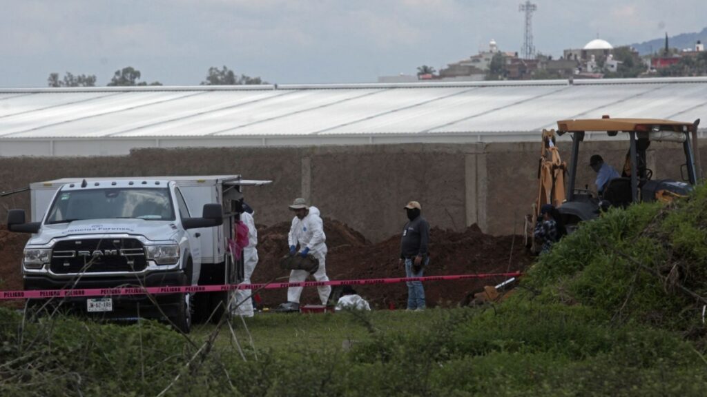 Guerreros Buscadores hallan cuerpo de perro encadenado en fosa clandestina