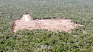 Frena INAH granja avícola; amenazaba vestigios mayas