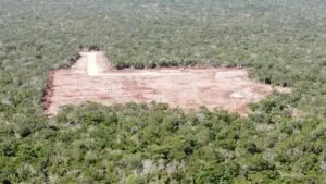 Frena INAH granja avícola; amenazaba vestigios mayas