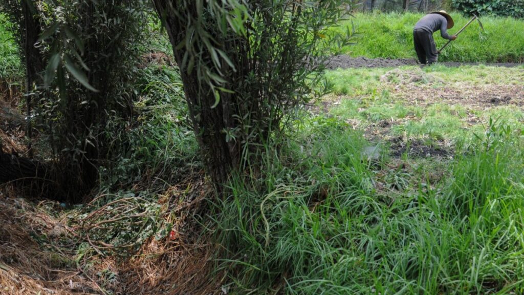 Indígena de Juchitán muestra que es posible salvar al Río Los Perros