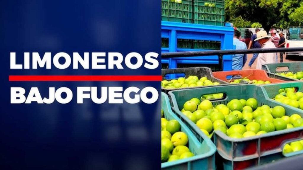 Limoneros bajo fuego