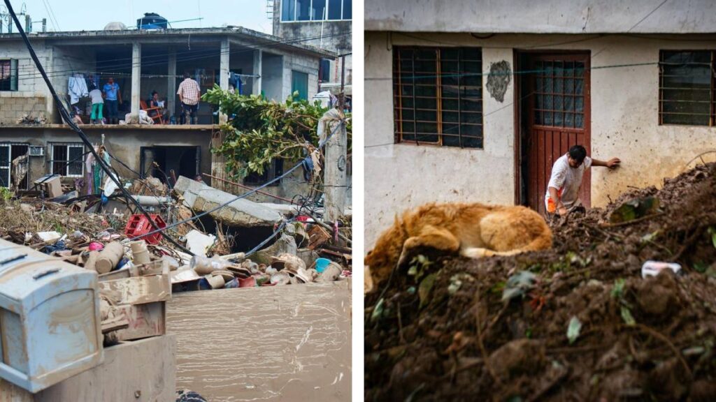 Lluvias Mexico Muertos Desaparecidos
