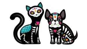 ¡Llegan hoy! ¿Qué debe de llevar la ofrenda para las mascotas?