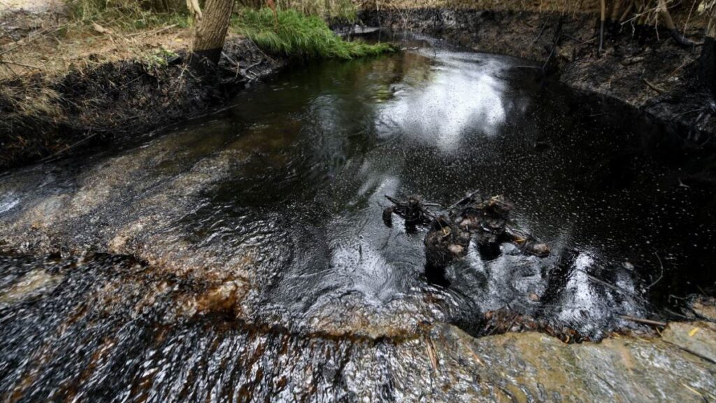 Tamaulipas presenta la mayor contaminación por hidrocarburos de Pemex. Reuters