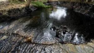 Derrames de hidrocarburo contaminan laguna y playa en Bahía La Ventosa