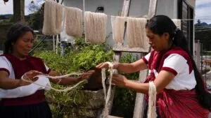 ¿Realmente las comunidades indígenas piden disculpas de España?