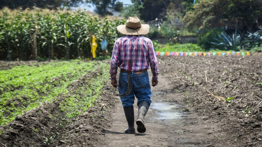 ¿quién Era Javier Vargas, Productor De Naranja Asesinado En Veracruz