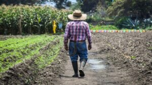 ¿Quién era Javier Vargas, productor de naranja asesinado en Veracruz?