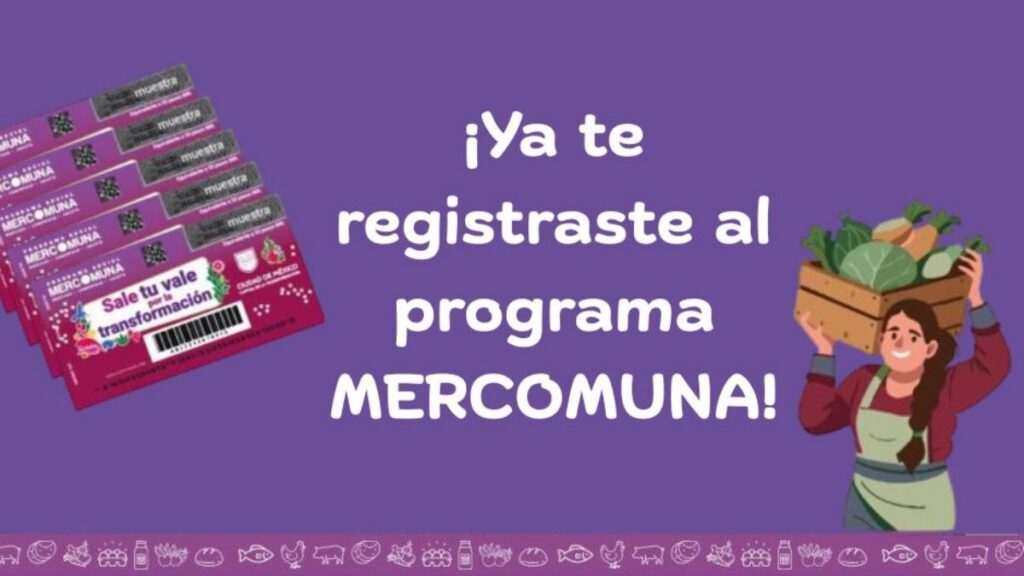 Registro Vales Mercomuna
