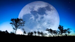 La superluna más grande de 2025 y lluvias de meteoros llegan en noviembre