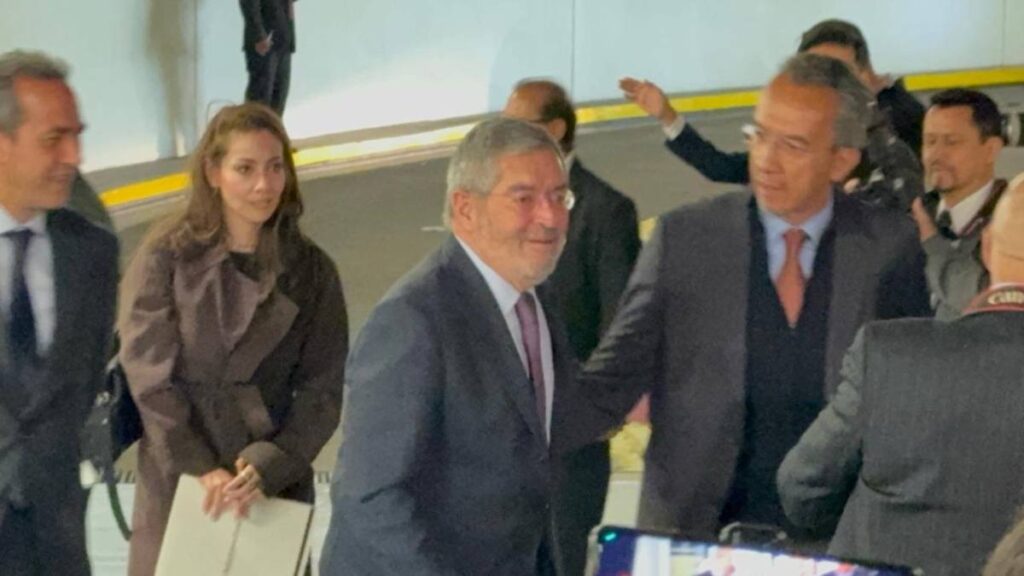 Juan Ramón de la Fuente, canciller