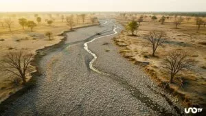 7.6% del país mantiene sequía; las lluvias dan alivio, pero Coahuila y Sonora registran condiciones extremas