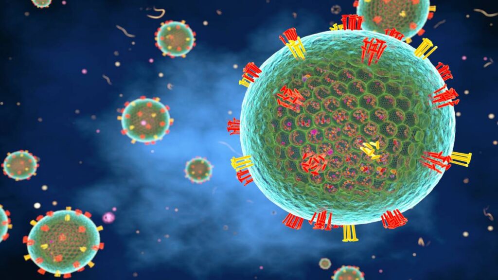 5 mil 241 casos acumulados de sarampión en México: 27 estados están afectados