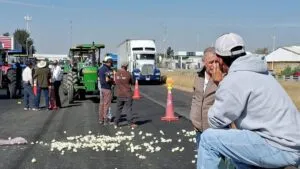 ¿Quiénes son los 12 agricultores de Guanajuato que son investigados tras bloqueos por precios de maíz?