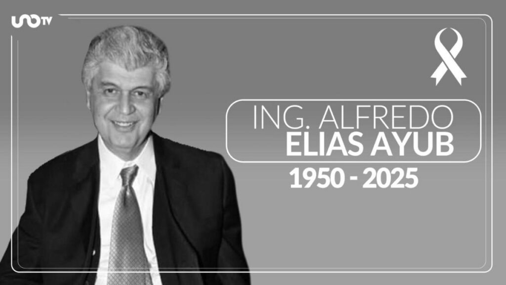 Ingeniero Alfredo Elias Ayub