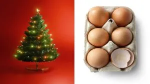 Árbol de navidad con caja de huevo: tutorial para hacer dinámica con material reciclado