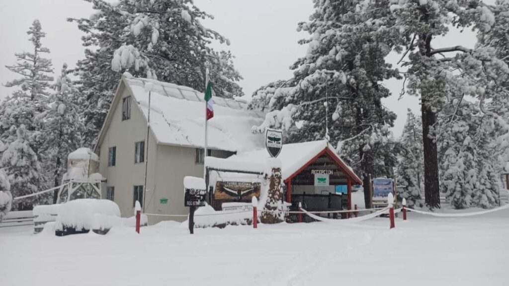 Así fueron las nevadas en 4 estados por frentes fríos en México.