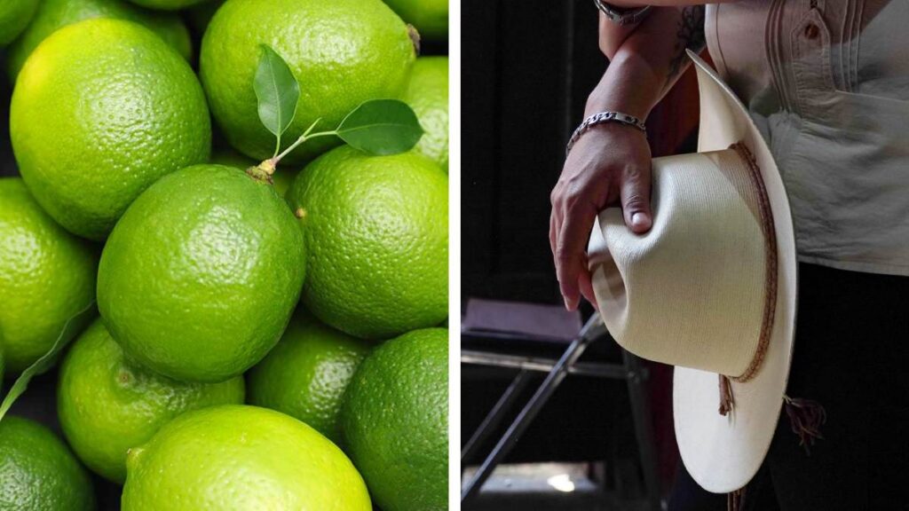 Caen mandos de Seguridad en Michoacán tras la muerte de Manzo y Bravo