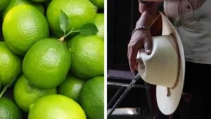 Remueven a secretario de Seguridad Pública y otro mando en Michoacán, tras la muerte de Bravo y Manzo