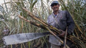 México impone aranceles al azúcar importada hasta 210%