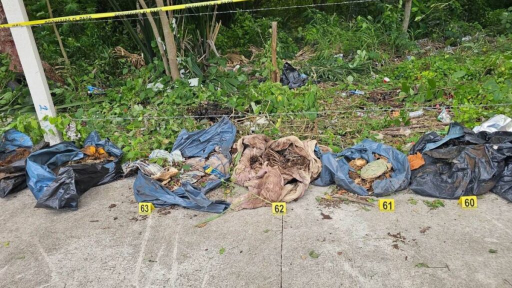 Casa Xibalbá no cremaba a las mascotas y cometía fraude.