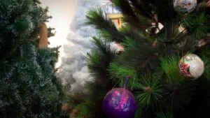 Preparativos navideños terminan en tragedia: grúa colapsa al montar árbol de Navidad